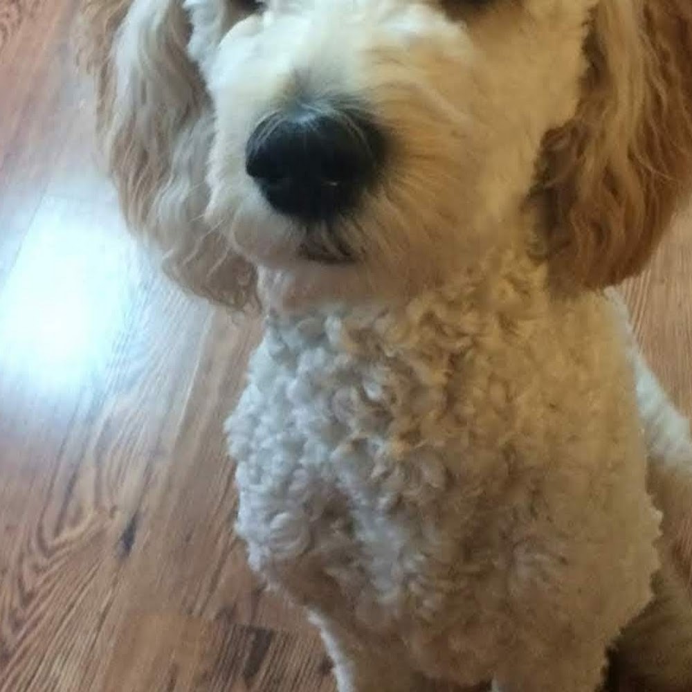 Meet your Posher, Jessa